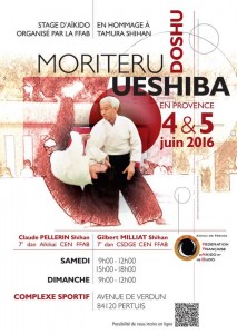 Affiche_Doshu_stage_2016_A4_DEF_S(1)